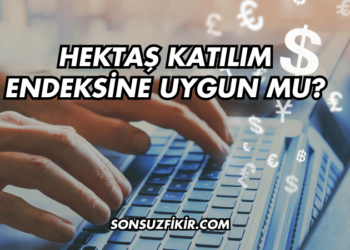 Hektaş Katılım Endeksine Uygun mu?