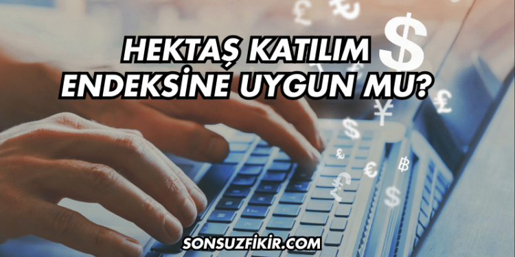 Hektaş Katılım Endeksine Uygun mu?
