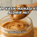 Hipp Kaşık Maması Kilo Aldırır mı?