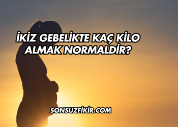 İkiz Gebelikte Kaç Kilo Almak Normaldir?