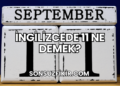İngilizcede 11 Ne Demek?
