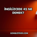 İngilizcede 45 Ne Demek?