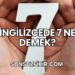 İngilizcede 7 Ne Demek?