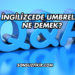İngilizcede Umbrella Ne Demek?