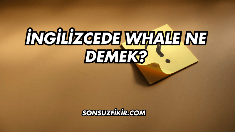İngilizcede Whale Ne Demek?