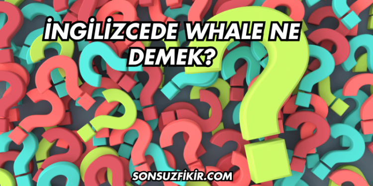 İngilizcede Whale Ne Demek?