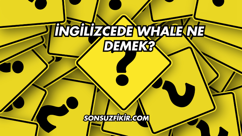 İngilizcede Whale Ne Demek?