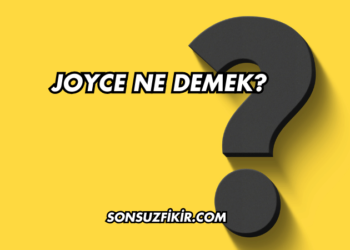 Joyce Ne Demek?