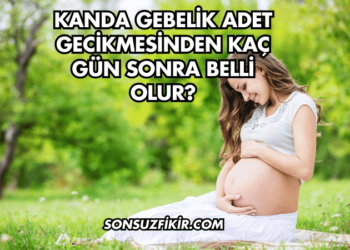 Kanda Gebelik Adet Gecikmesinden Kaç Gün Sonra Belli Olur?