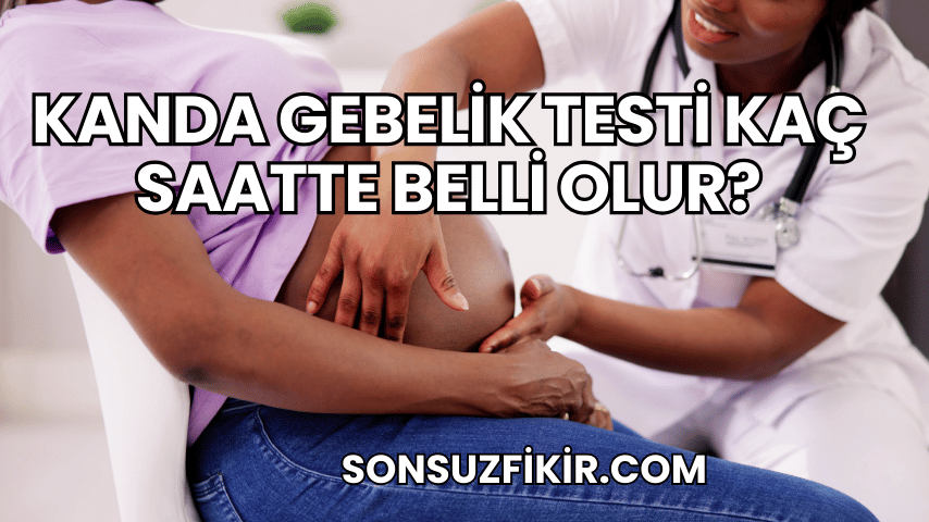 Kanda Gebelik Testi Kaç Saatte Belli Olur?