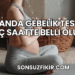 Kanda Gebelik Testi Kaç Saatte Belli Olur?