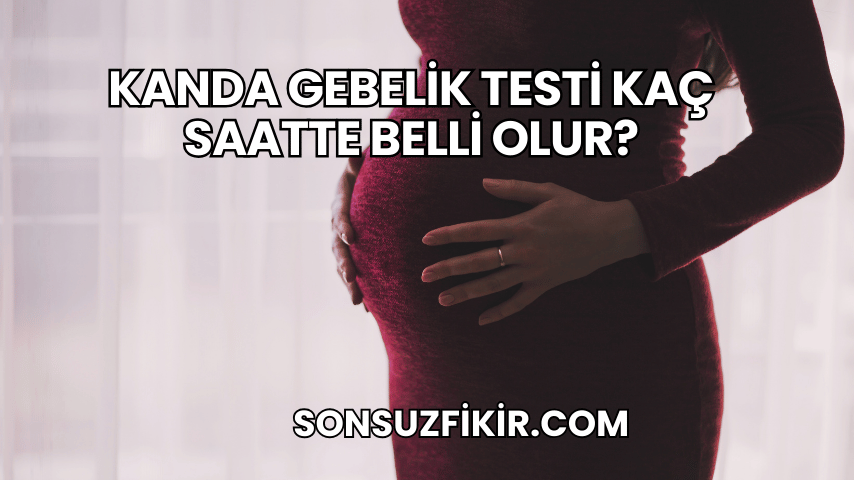Kanda Gebelik Testi Kaç Saatte Belli Olur?