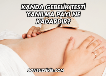 Kanda Gebelik Testi Yanılma Payı Ne Kadardır?
