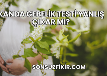 Kanda Gebelik Testi Yanlış Çıkar mı?