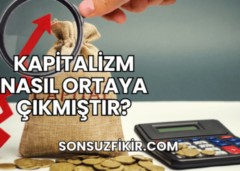 Kapitalizm Nasıl Ortaya Çıkmıştır?