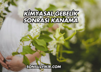 Kimyasal Gebelik Sonrası Kanama