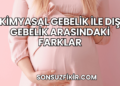 Kimyasal Gebelik ile Dış Gebelik Arasındaki Farklar