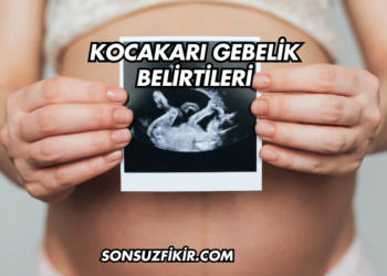 Kocakarı Gebelik Belirtileri