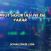 Konut Sigortası Ne İşe Yarar