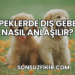 Köpeklerde Dış Gebelik Nasıl Anlaşılır?