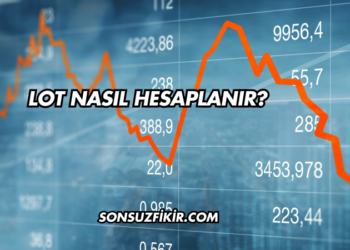 Lot Nasıl Hesaplanır?
