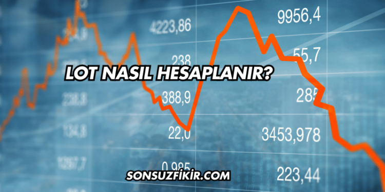 Lot Nasıl Hesaplanır?