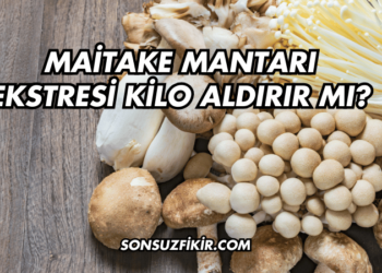 Maitake Mantarı Ekstresi Kilo Aldırır mı?