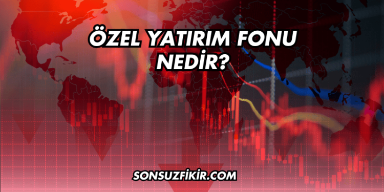 Özel Yatırım Fonu Nedir?