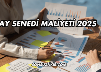 Pay Senedi Maliyeti 2025