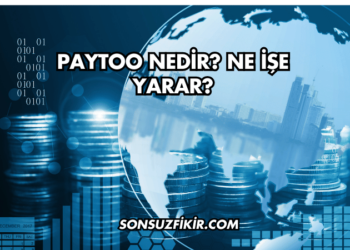 PayToo Nedir? Ne İşe Yarar?