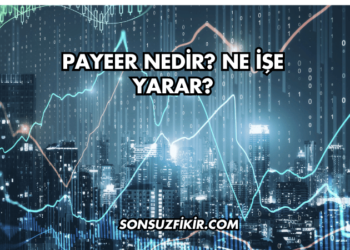 Payeer Nedir? Ne İşe Yarar?