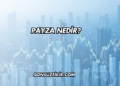 Payza Nedir?