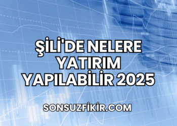 Şili'de Nelere Yatırım Yapılabilir 2025