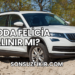 Skoda Felicia Alınır mı?