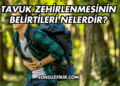 Tavuk Zehirlenmesinin Belirtileri Nelerdir?