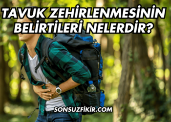 Tavuk Zehirlenmesinin Belirtileri Nelerdir?