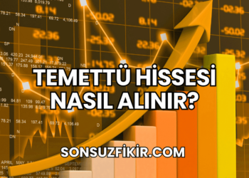Temettü Hissesi Nasıl Alınır?