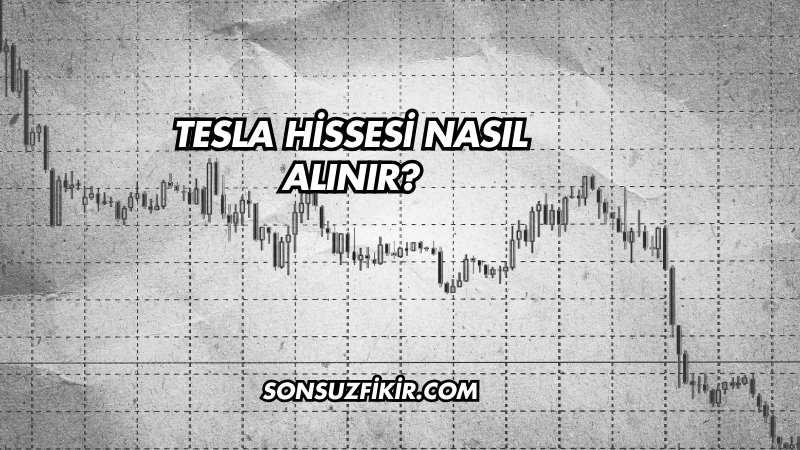 Tesla Hissesi Nasıl Alınır?