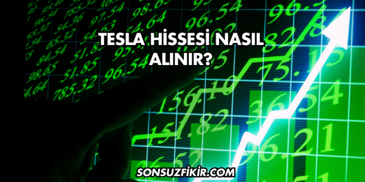 Tesla Hissesi Nasıl Alınır?