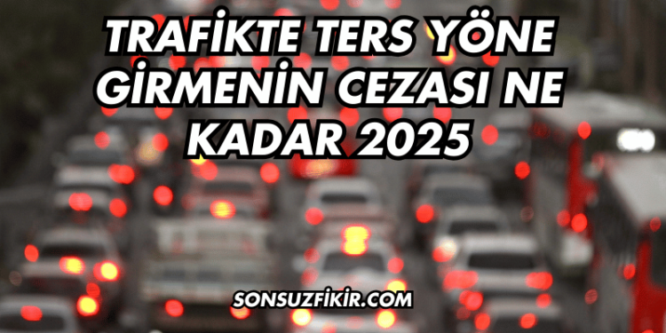 Trafikte Ters Yöne Girmenin Cezası Ne Kadar 2025