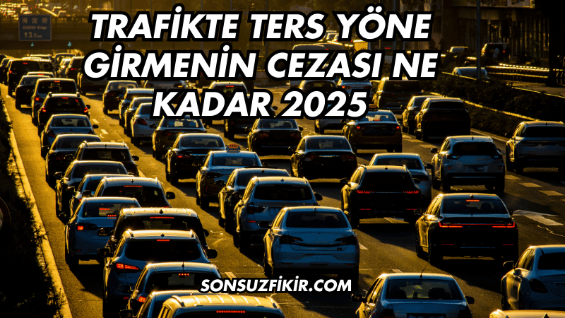 Trafikte Ters Yöne Girmenin Cezası Ne Kadar 2025
