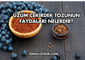 Üzüm Çekirdek Tozunun Faydaları Nelerdir?
