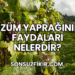 Üzüm Yaprağının Faydaları Nelerdir?