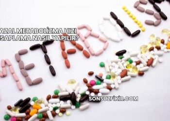 Bazal Metabolizma Hızı Hesaplama Nasıl Yapılır?