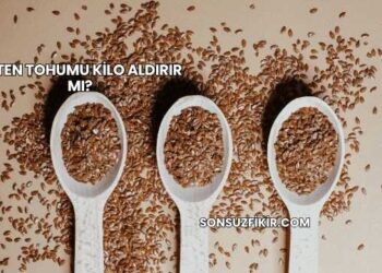 Keten Tohumu Kilo Aldırır mı?