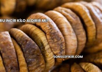 Kuru İncir Kilo Aldırır mı?