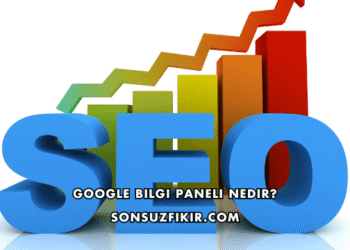 Google Bilgi Paneli Nedir?