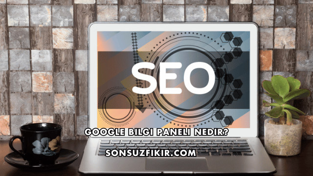 Google Bilgi Paneli Nedir?